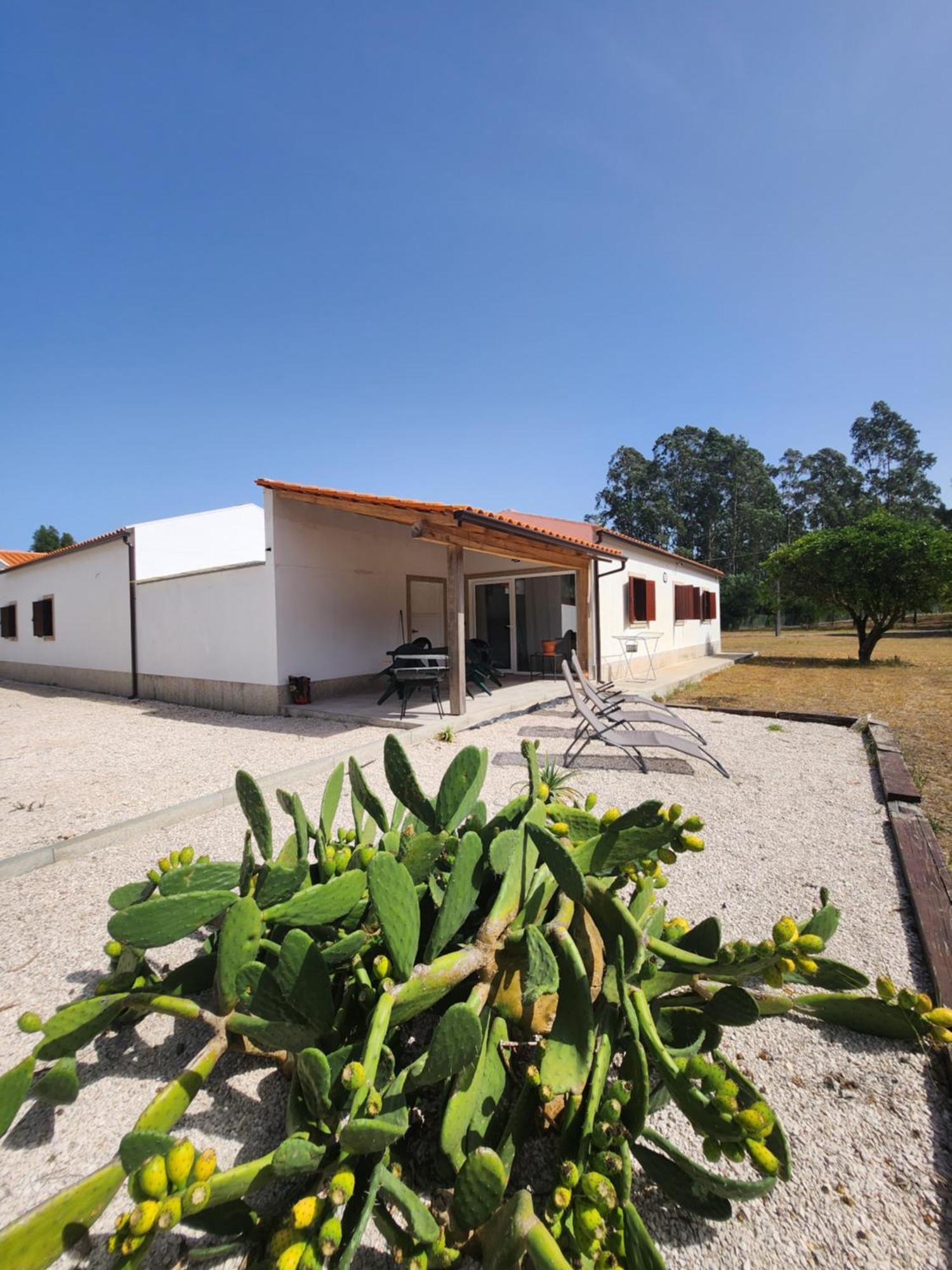 Quinta Das Camarinhas กันดันเฮด ภายนอก รูปภาพ